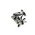 Butoni Grasshopper