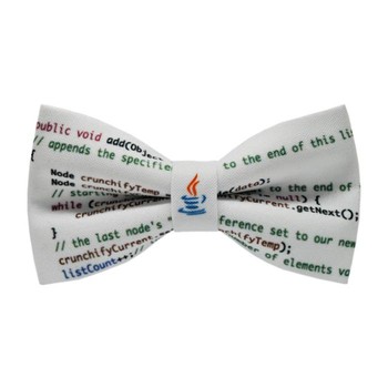 Papion Programator Java