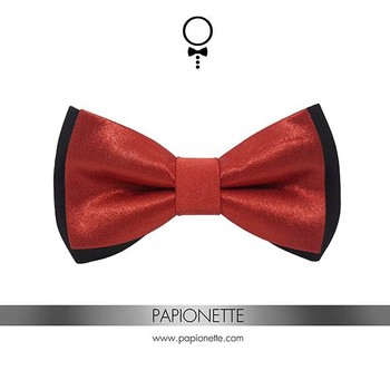 Papion Black & Rusty