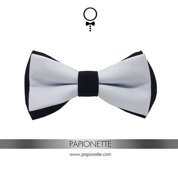 Papion Black & White