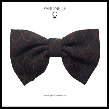 Papion Butterfly Black Orange