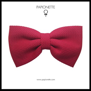 Papion Butterfly Bordeaux
