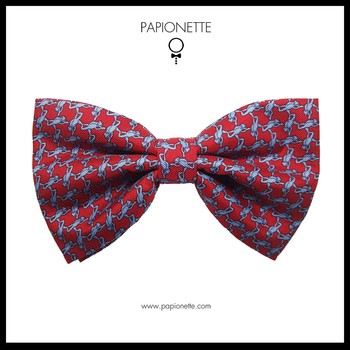 Papion Butterfly Red Fine Blue