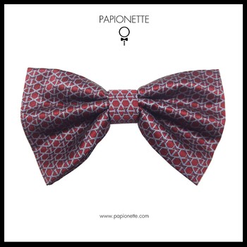Papion Butterfly Special Burgundy