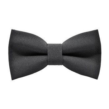Papion Dark Slate Gray