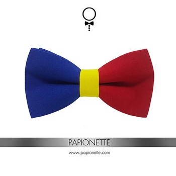 Papion Romania