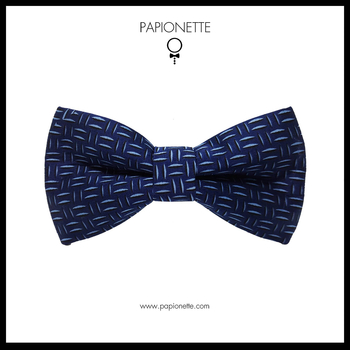 Papion Trabucco Blue Lines