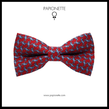 Papion Trabucco Red Fine Blue