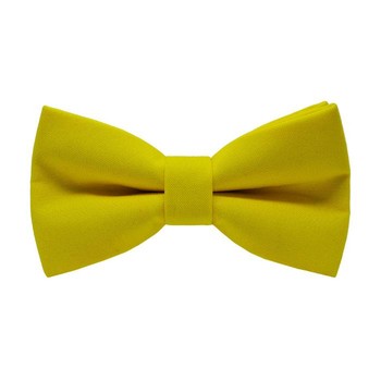 Papion Yellow