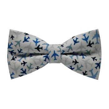 Papion Blue Airplanes