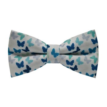 Papion  Blue Butterfly