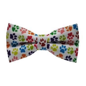 Papion Colorful Paws