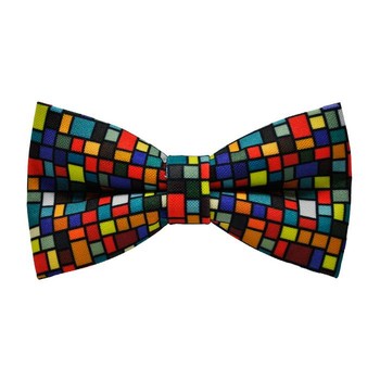 Papion Colorful Squares