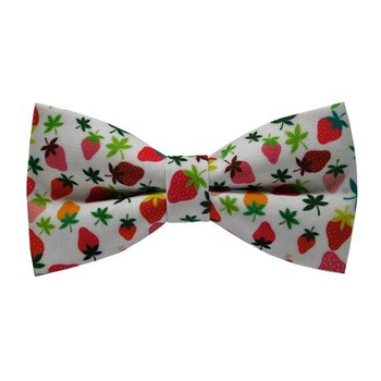 Papion Colorful Strawberries