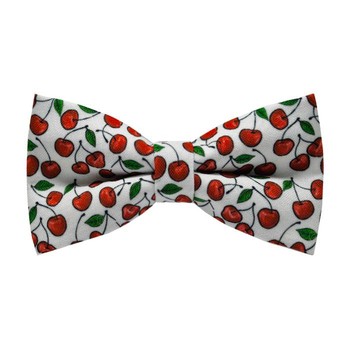 Papion Cherry