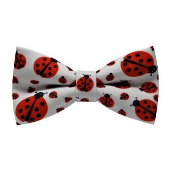 Papion Ladybug