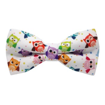 Papion Owl 4