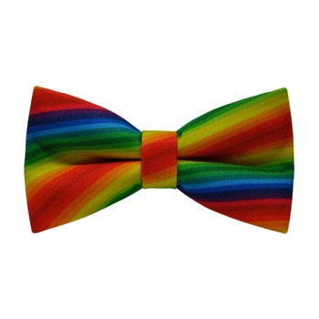 Papion Rainbow