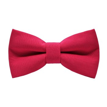 Papion Sweet Fuchsia
