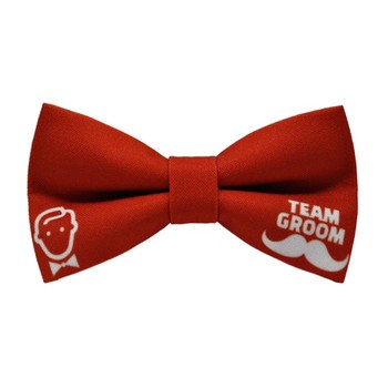 Papion Team Groom I
