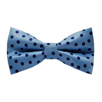 Papion Black Dots&Blue