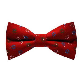 Papion Blue&White Flowers-Red