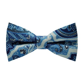 Papion Blue Floral Paisley