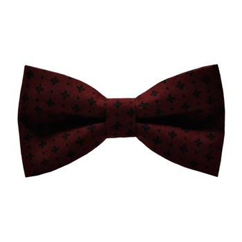 Papion Burgundy&Black Details