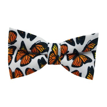 Papion Butterfly