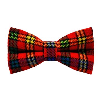 Papion Colorful Plaid