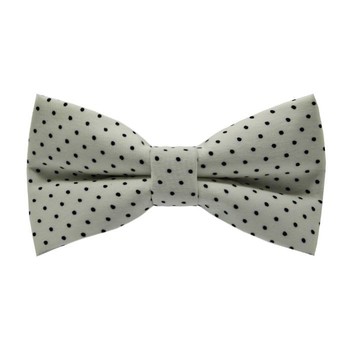 Papion Little Black Dots&Ivory