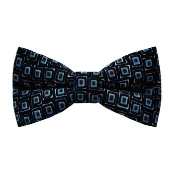Papion Little Blue Squares