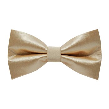 Papion S Apricot