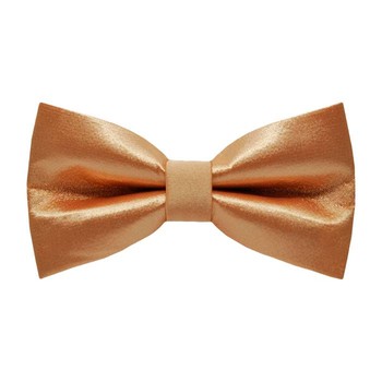 Papion S Persian Orange