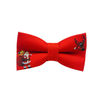 Papion Santa Claus