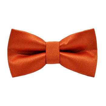 Papion Shiny Orange
