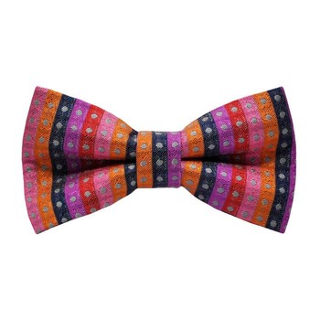 Papion Trabucco Stripes And Dots