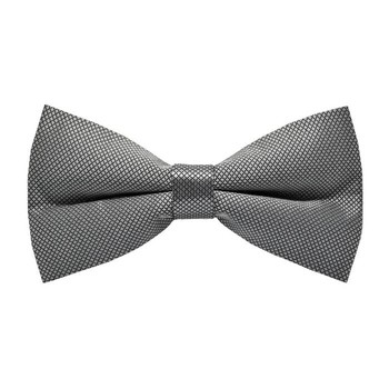 Papion Trabucco Gray