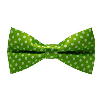 Papion White Dots&Green