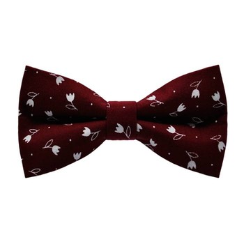 Papion White Tulip&Bordeaux