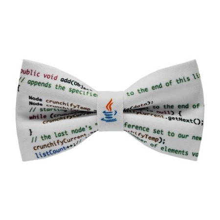 Papion Programator Java