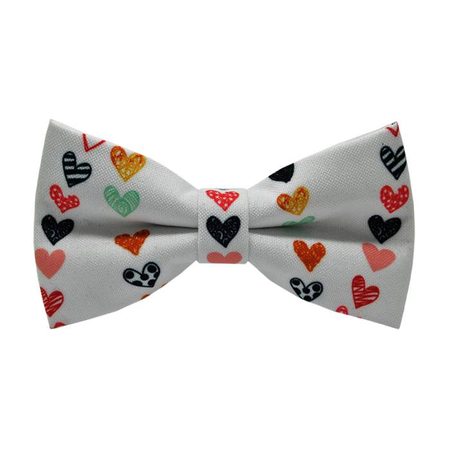 Papion Colourful Hearts