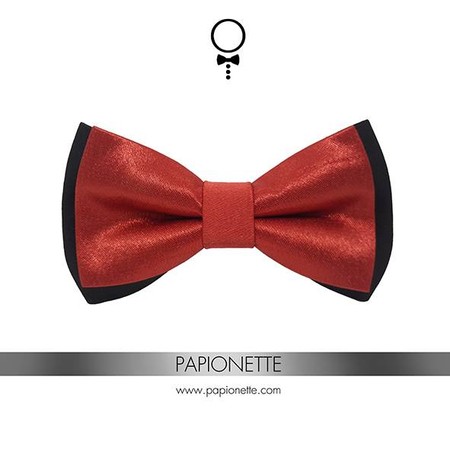 Papion Black & Rusty