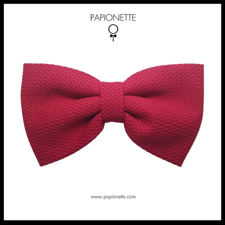 Papion Butterfly Bordeaux