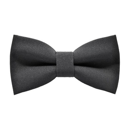 Papion Dark Slate Gray