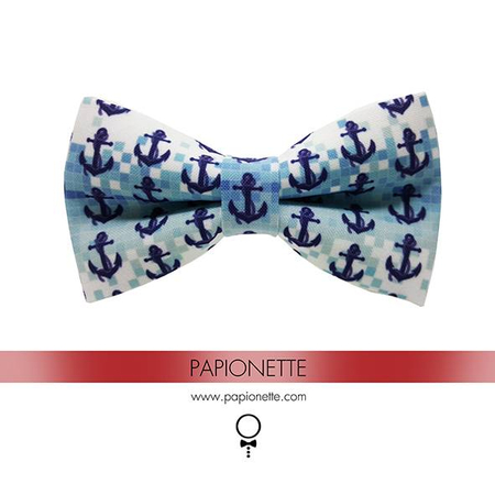 Papion Nautic - Navy Blue