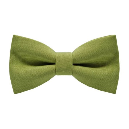 Papion Pistachio