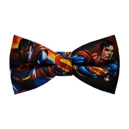 Papion Superman