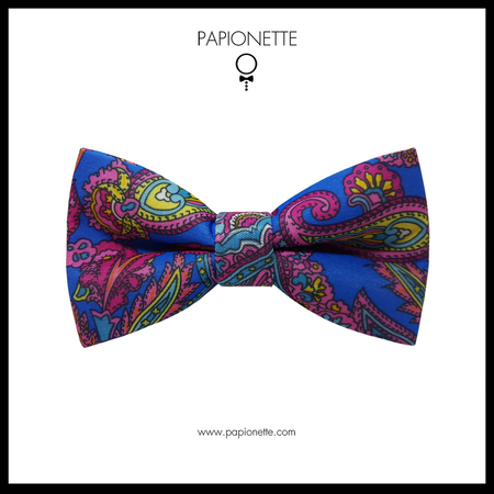 Papion Trabucco Colors