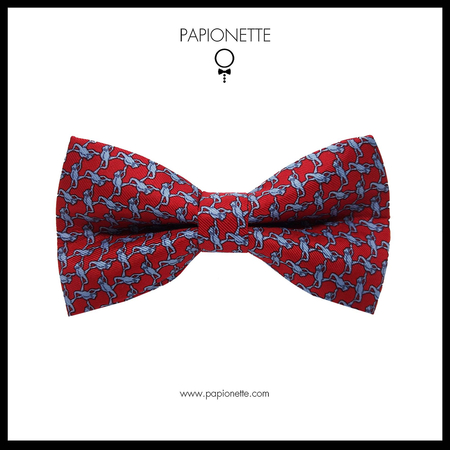 Papion Trabucco Red Fine Blue